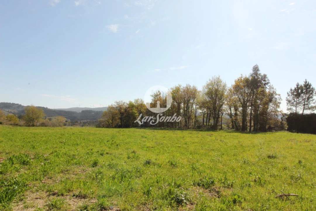 Terreno Agricola ou Rústico para Venda em Estorãos Foto 1