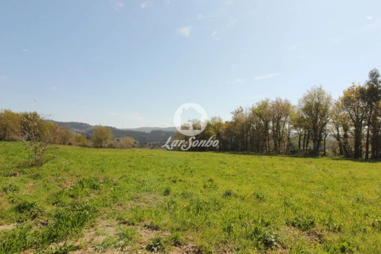 Terreno Agricola ou Rústico para Venda em Estorãos Foto 2