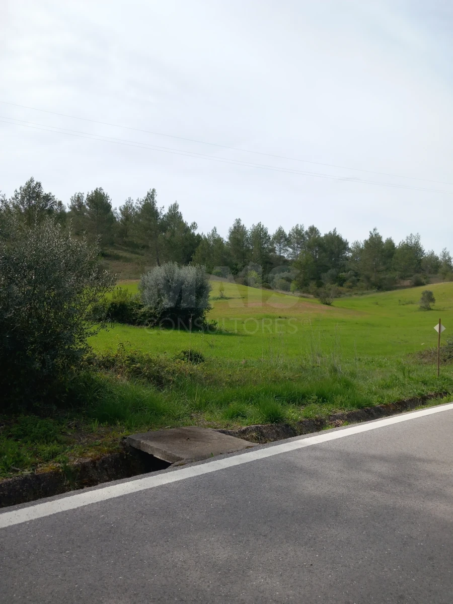 Terreno para Venda em Olaia e Paço Foto 5
