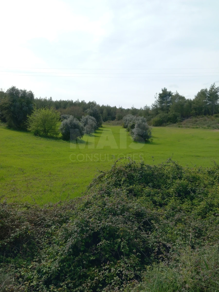 Terreno para Venda em Olaia e Paço Foto 4