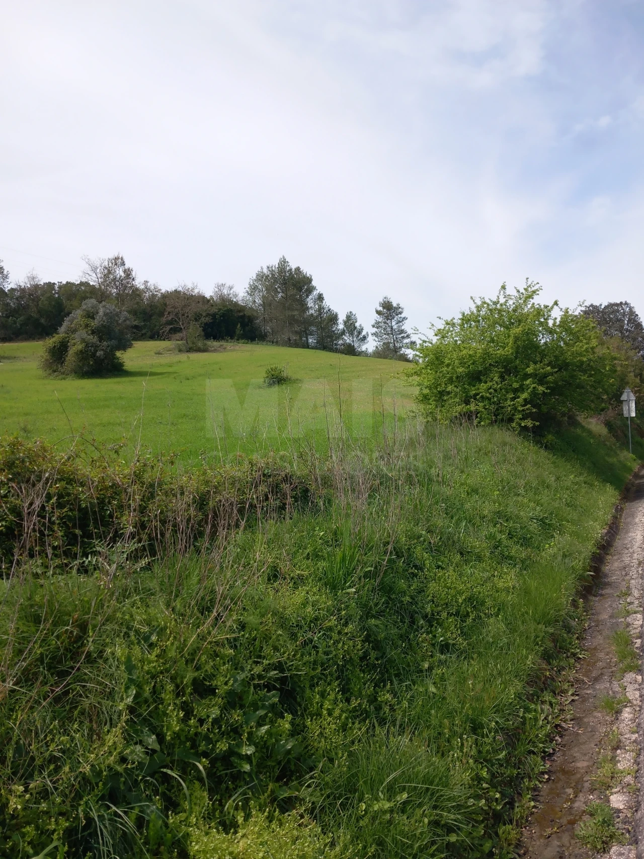 Terreno para Venda em Olaia e Paço Foto 3