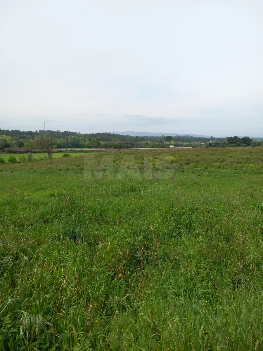 Terreno para Venda em Paialvo Foto 4