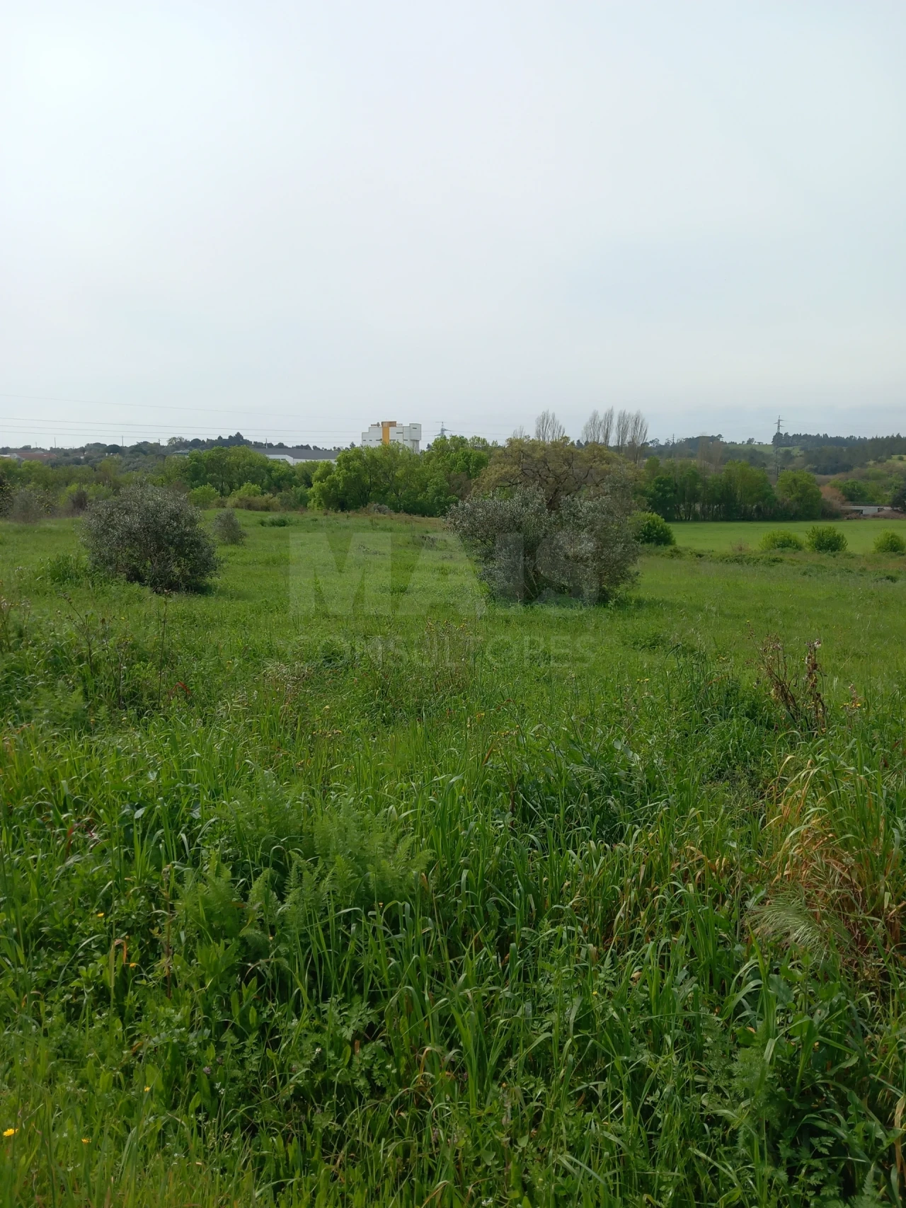 Terreno para Venda em Paialvo Foto 3