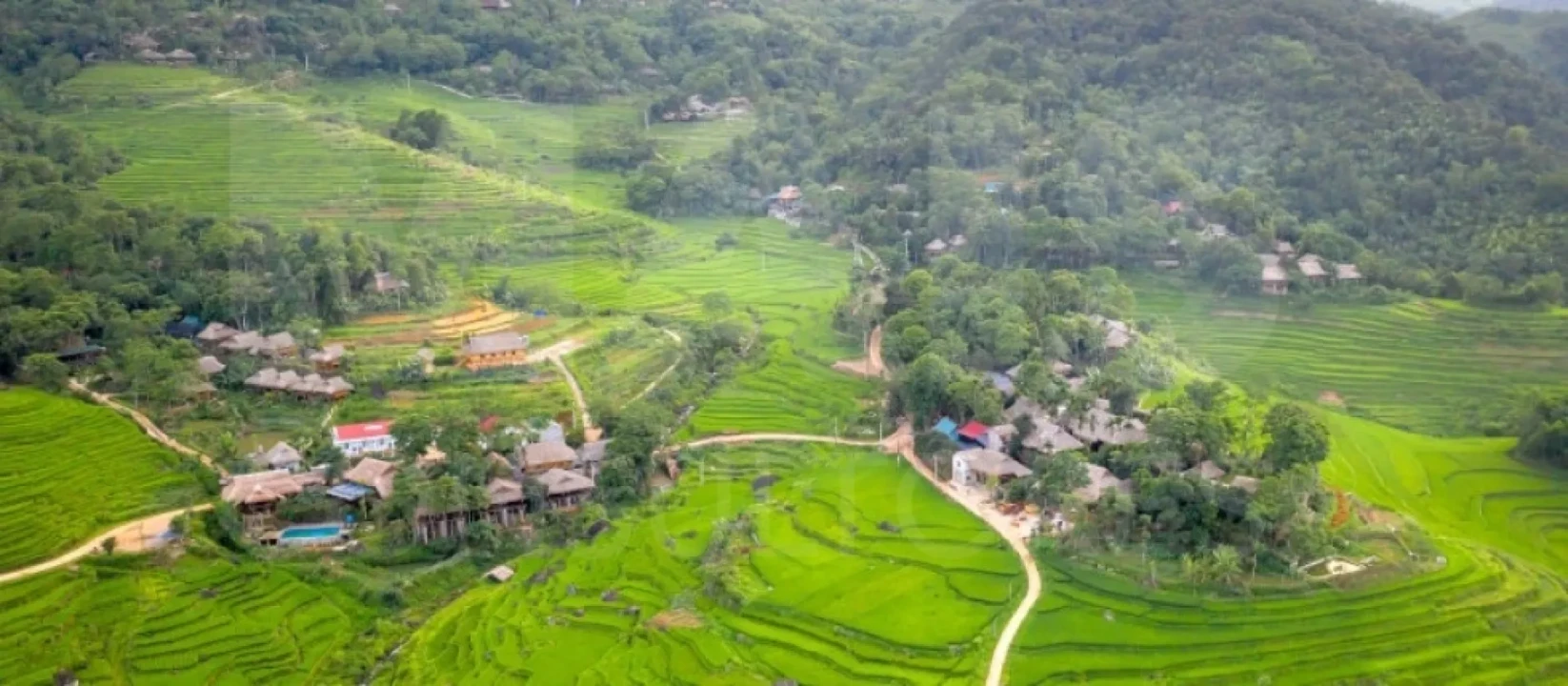 Terreno para Venda em Cadaval e Pêro Moniz Foto 2