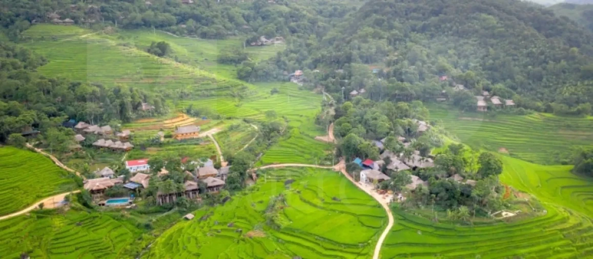 Terreno para Venda em Cadaval e Pêro Moniz Foto 2