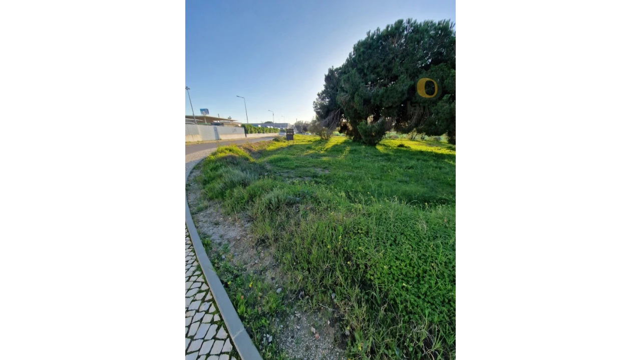 Terreno para Venda em Montenegro Foto 11