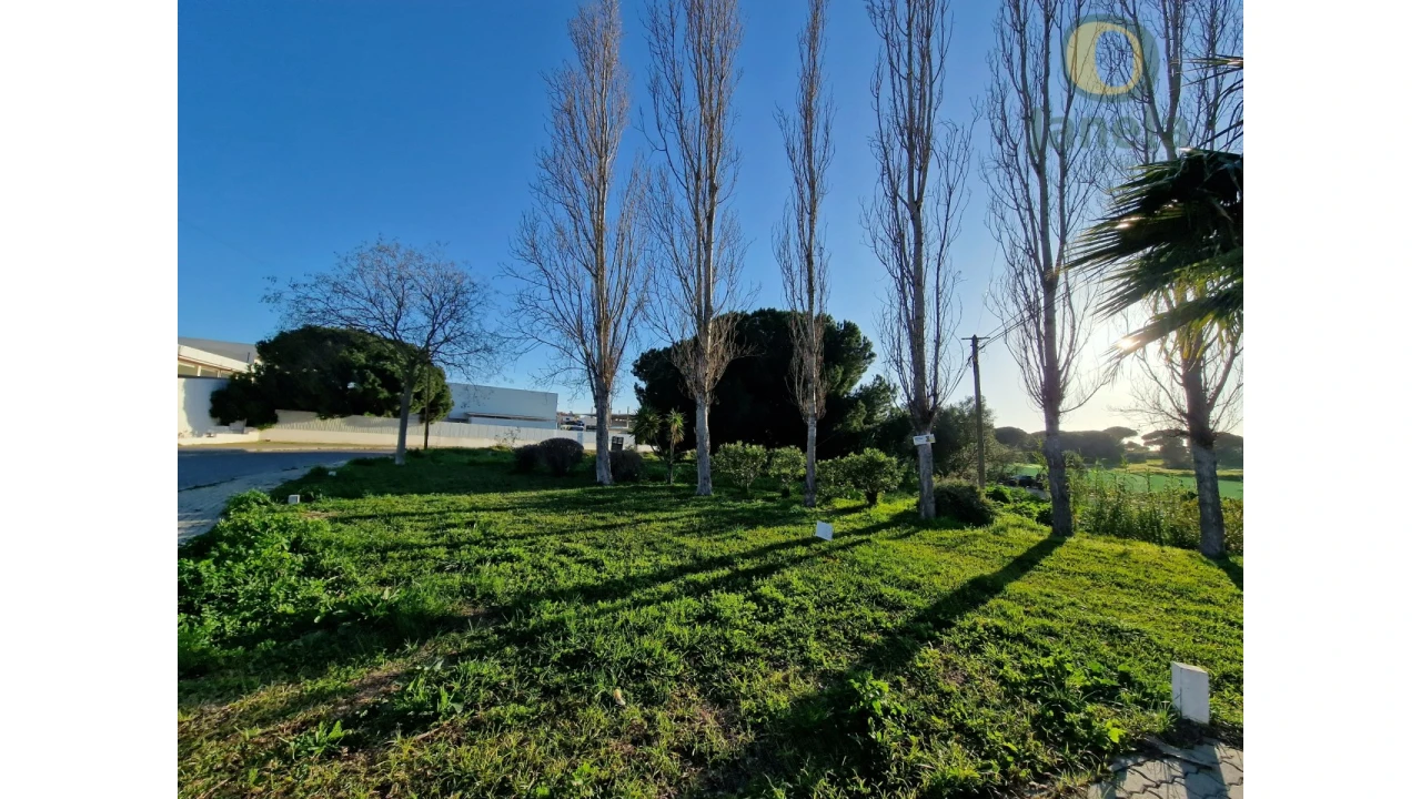 Terreno para Venda em Montenegro Foto 13