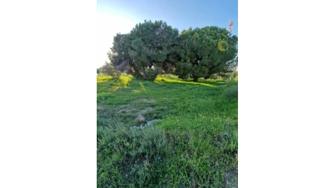Terreno para Venda em Montenegro