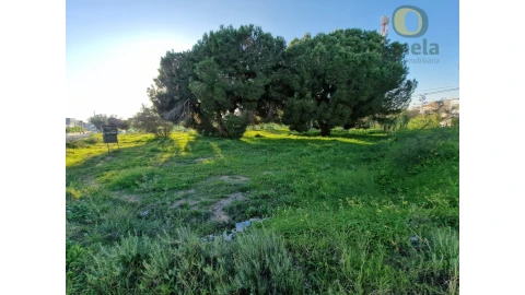 Terreno para Venda em Montenegro