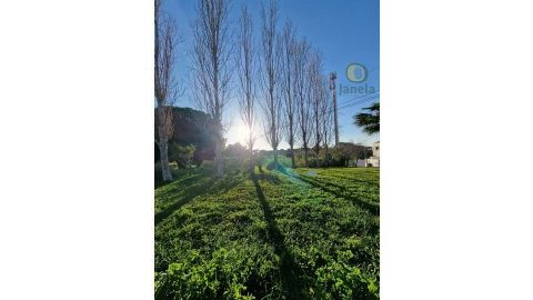 Terreno para Venda em Montenegro