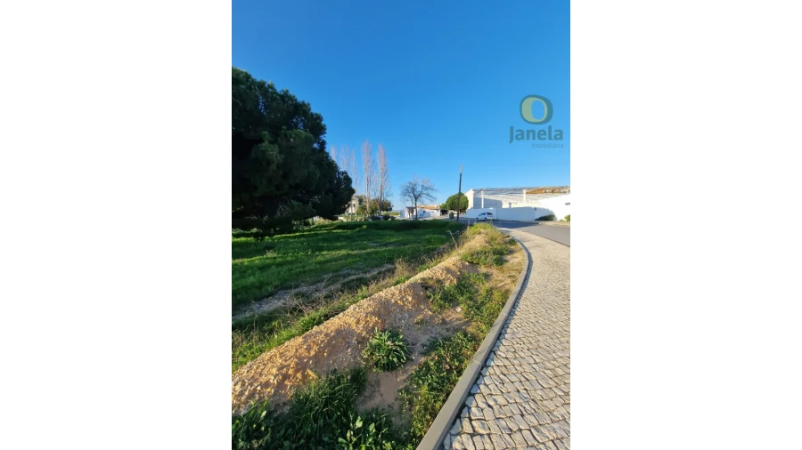 Terreno para Venda em Montenegro Foto 2