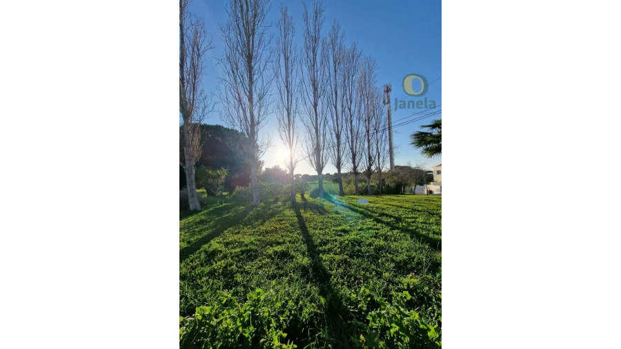 Terreno para Venda em Montenegro Foto 14