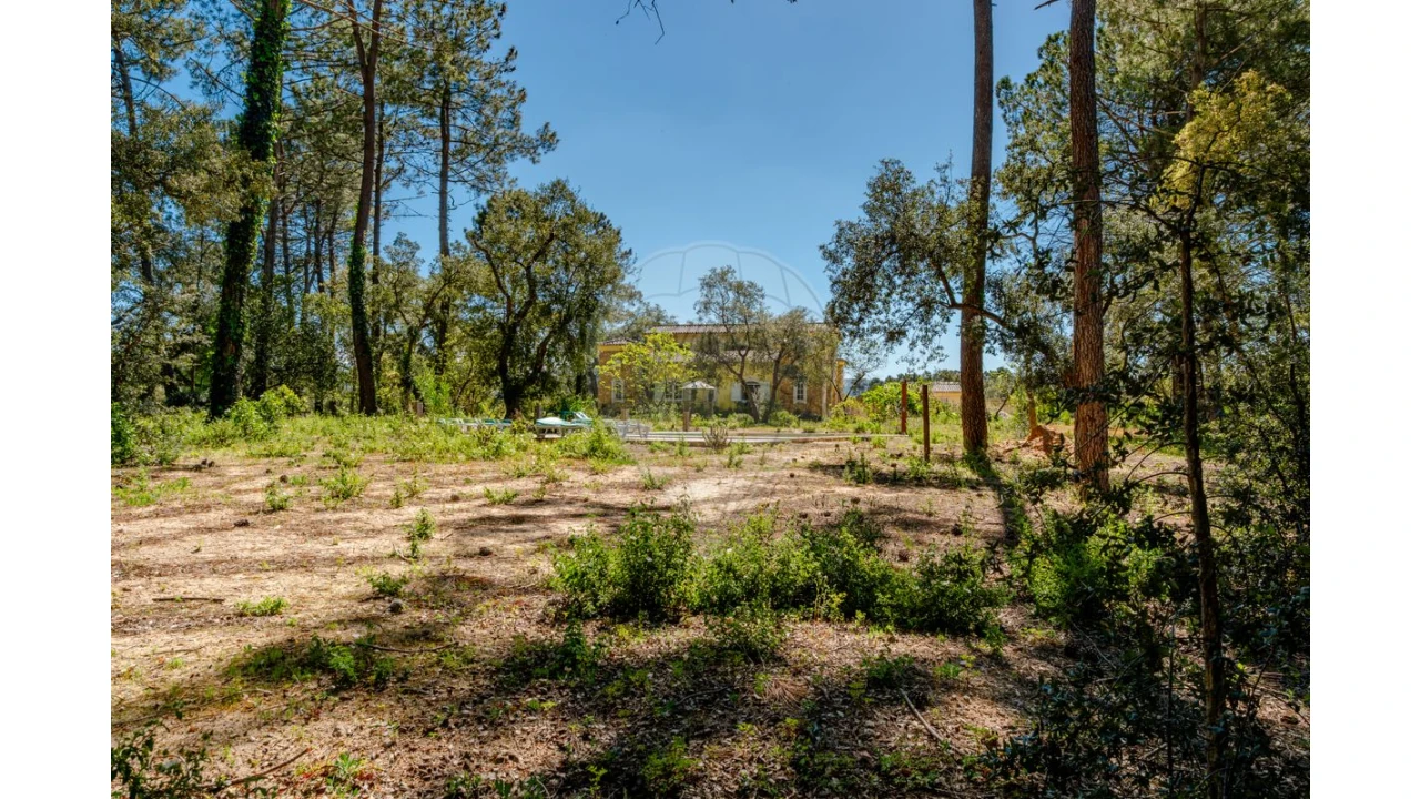 Quinta T4 para Arrendamento em Azeitão (São Lourenço e São Simão) Foto 22