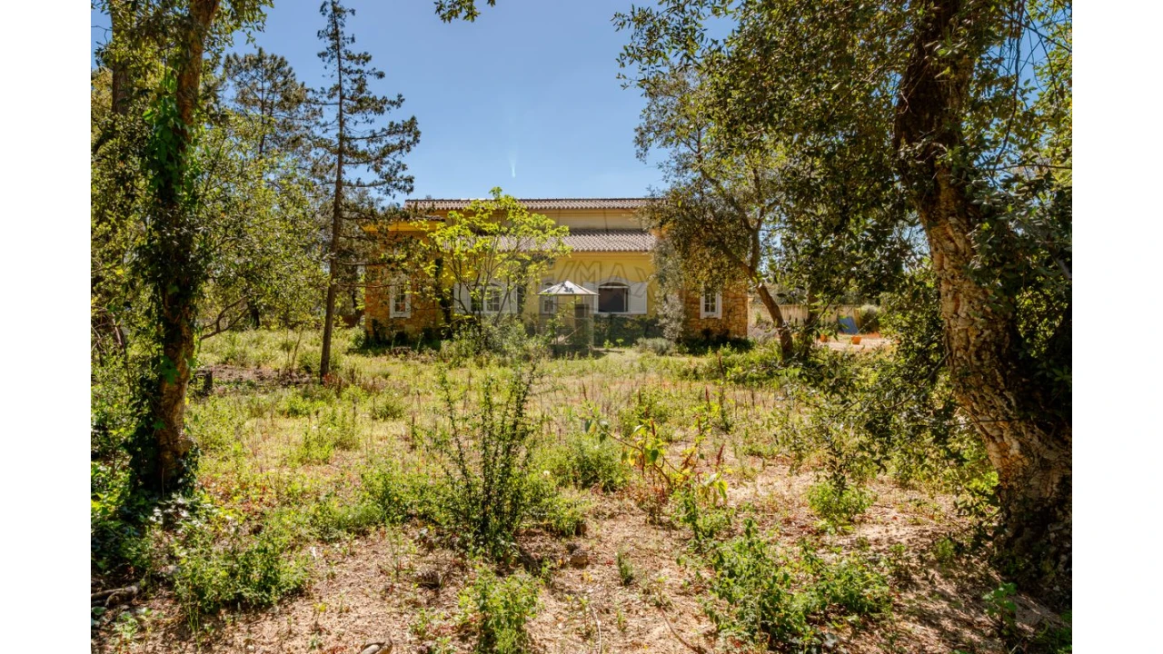 Quinta T4 para Arrendamento em Azeitão (São Lourenço e São Simão) Foto 29