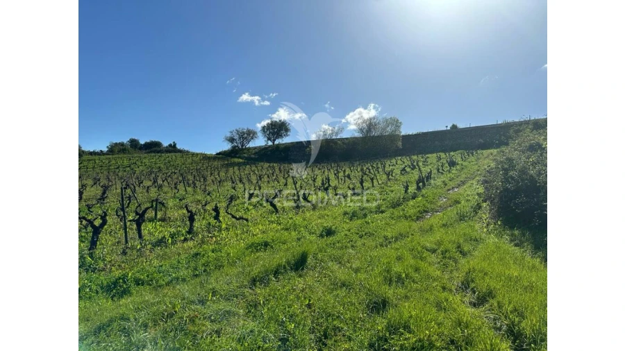 Terreno para Venda em Arrouquelas