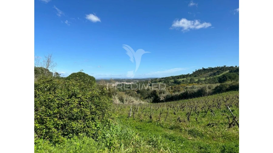Terreno para Venda em Arrouquelas Foto 4
