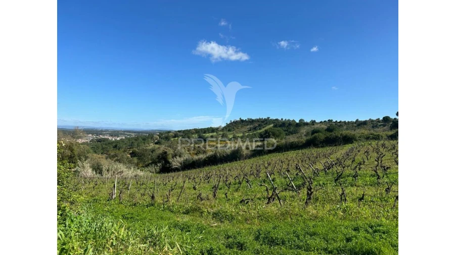 Terreno para Venda em Arrouquelas Foto 3