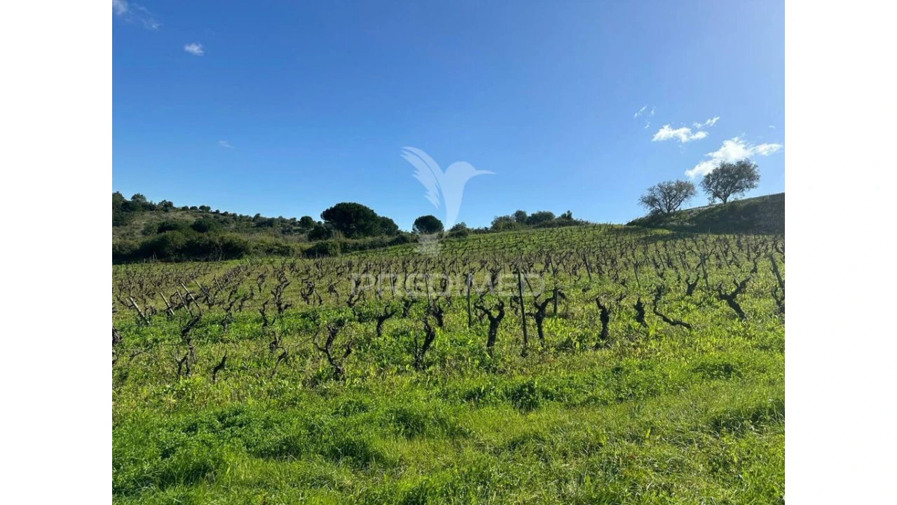 Terreno para Venda em Arrouquelas Foto 2