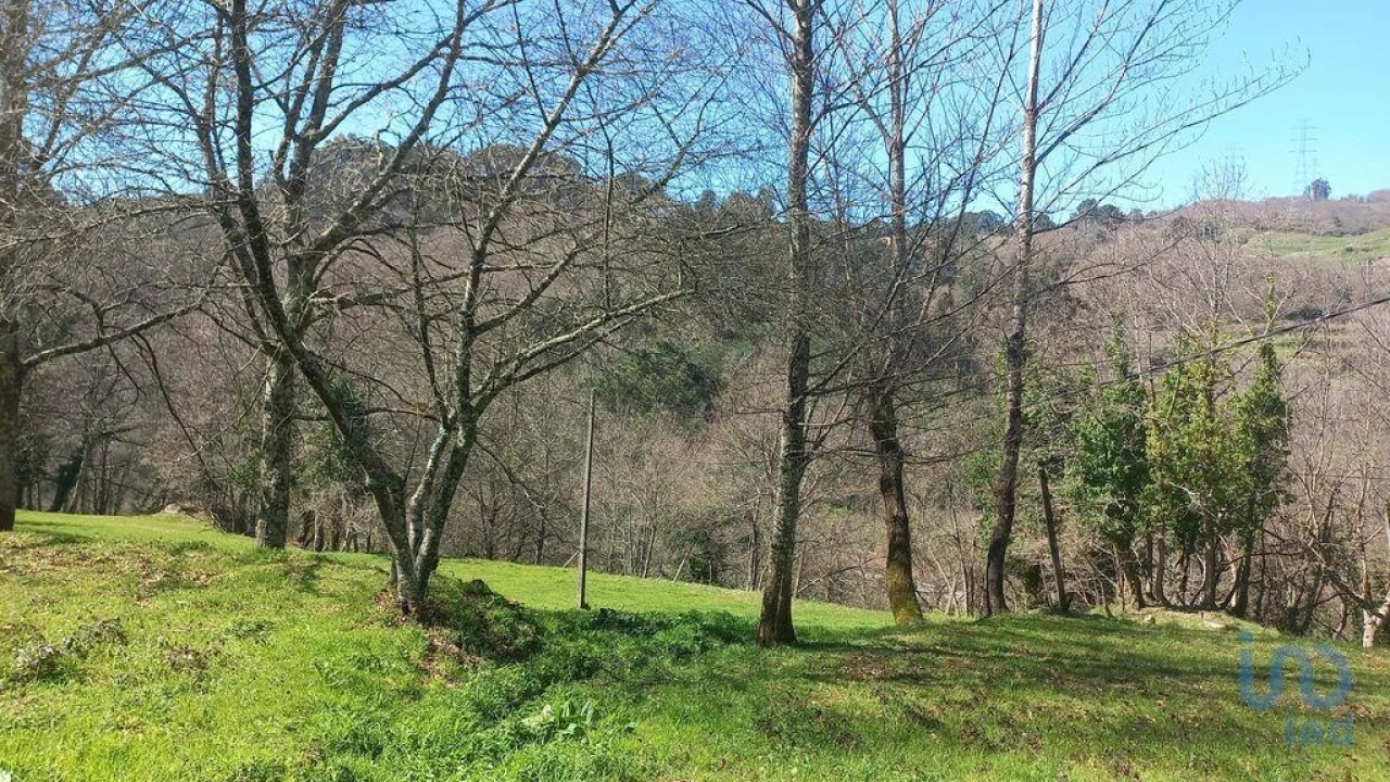 Terreno para Venda em Campelo e Ovil Foto 13