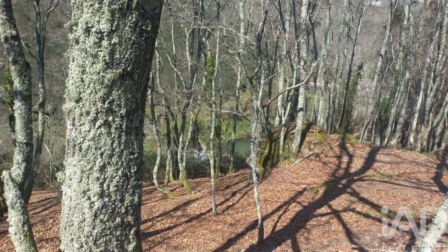 Terreno para Venda em Campelo e Ovil Foto 20