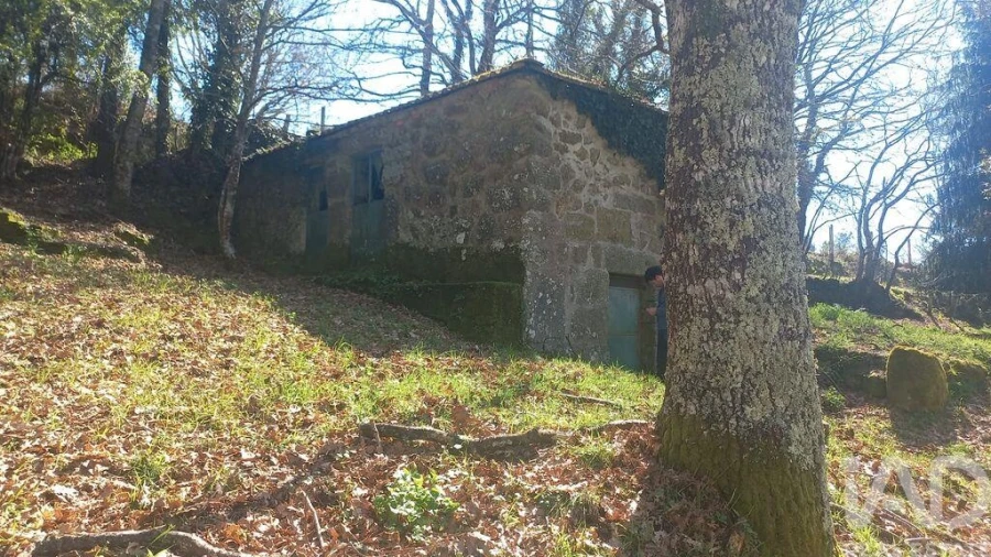 Terreno para Venda em Campelo e Ovil Foto 24