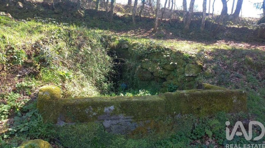Terreno para Venda em Campelo e Ovil Foto 23