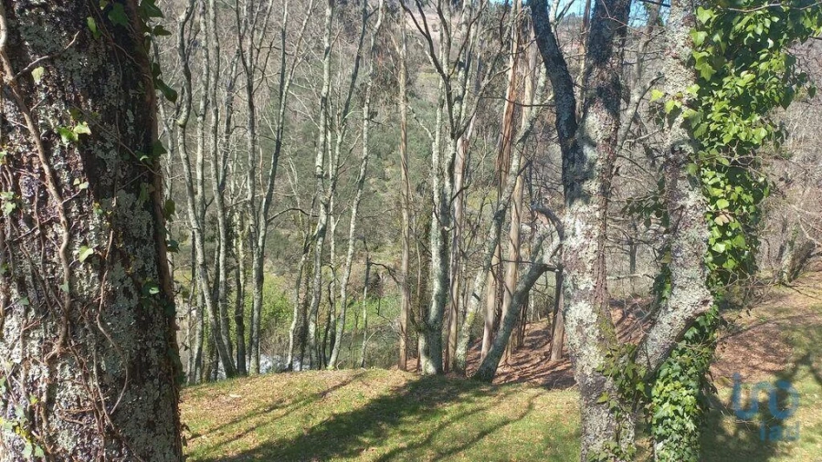 Terreno para Venda em Campelo e Ovil Foto 10
