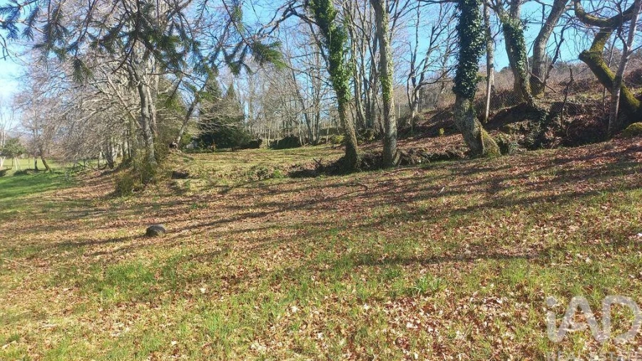 Terreno para Venda em Campelo e Ovil Foto 19