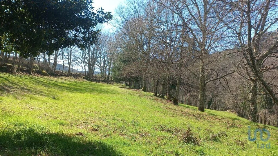 Terreno para Venda em Campelo e Ovil Foto 3