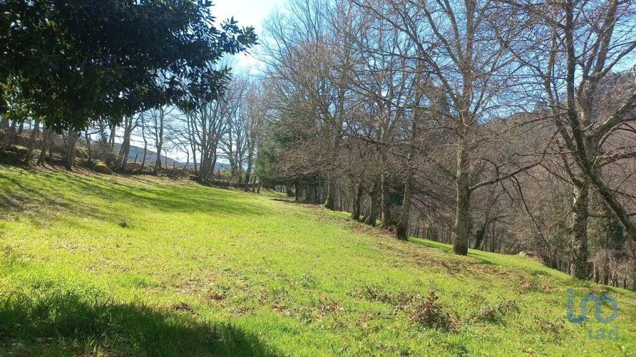 Terreno para Venda em Campelo e Ovil Foto 3