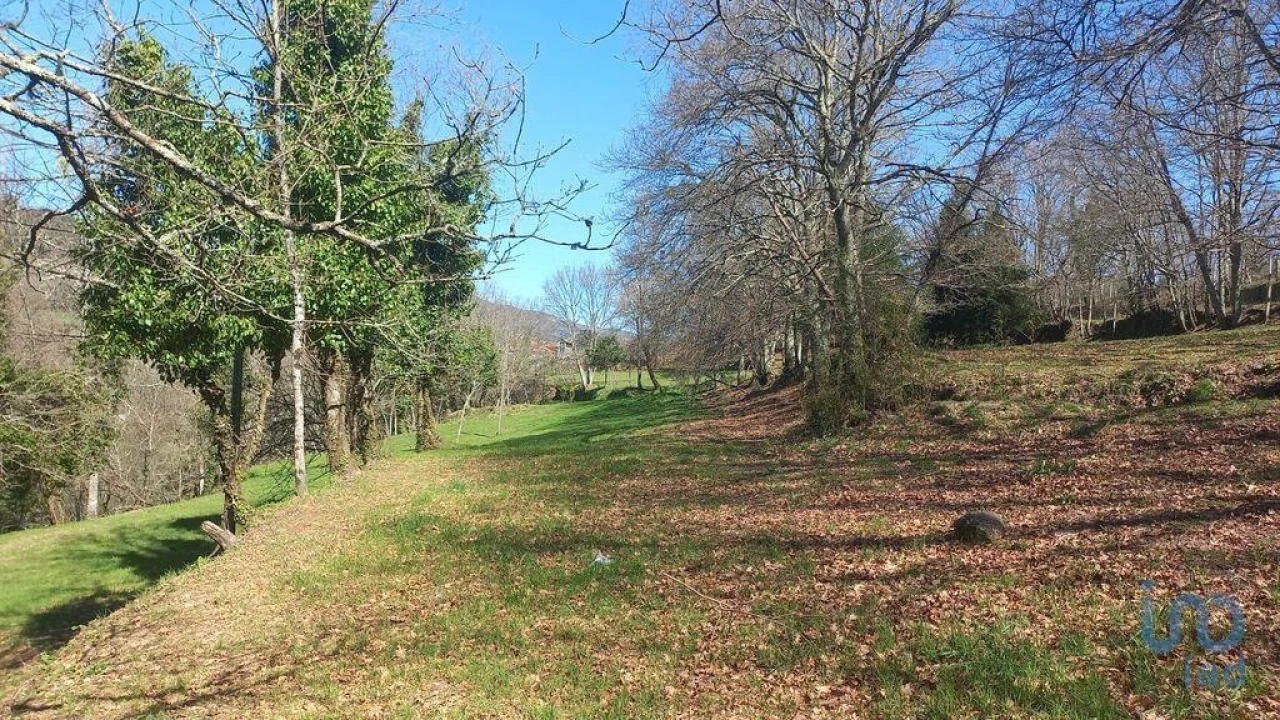 Terreno para Venda em Campelo e Ovil Foto 6