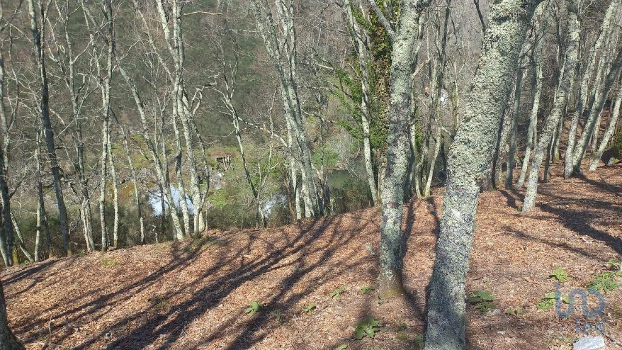 Terreno para Venda em Campelo e Ovil Foto 2