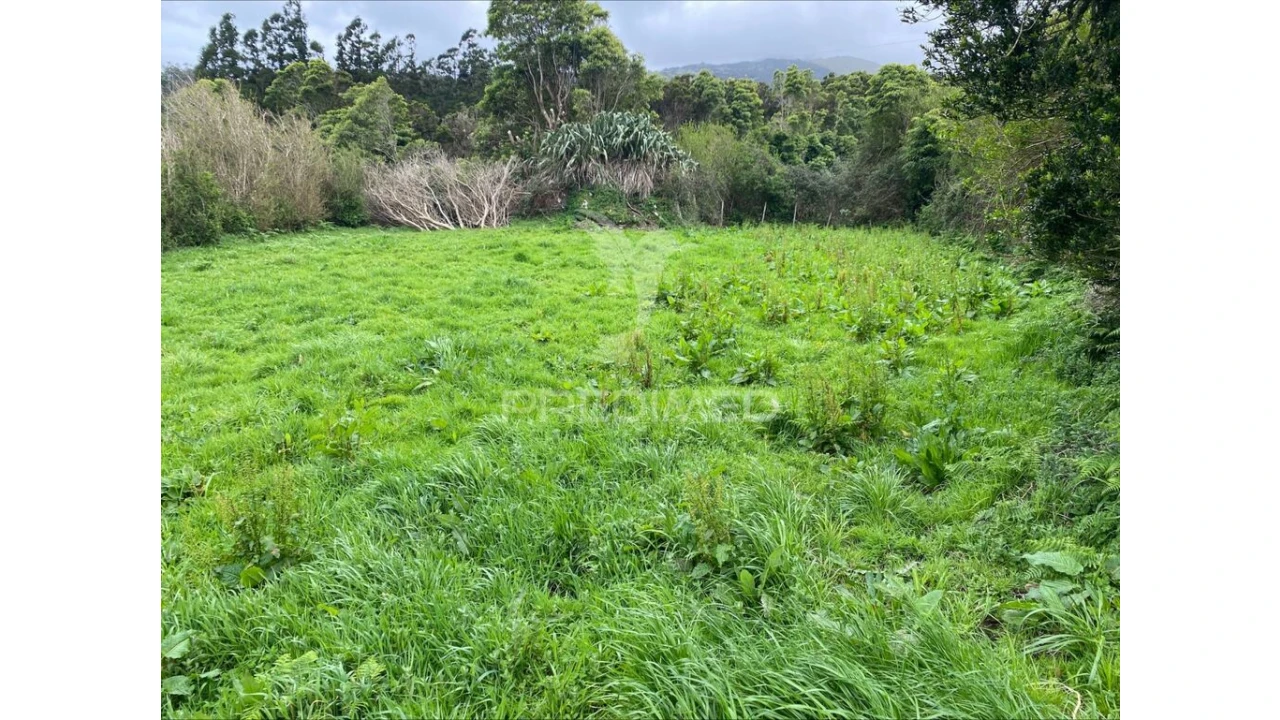 Terreno para Venda em Norte Grande (Neves) Foto 15