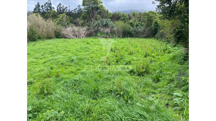 Terreno para Venda em Norte Grande (Neves) Foto 15