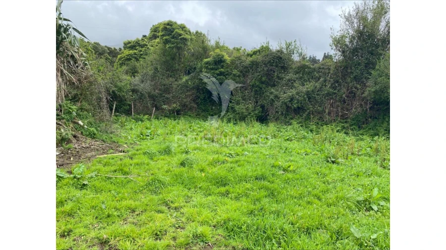 Terreno para Venda em Norte Grande (Neves) Foto 6