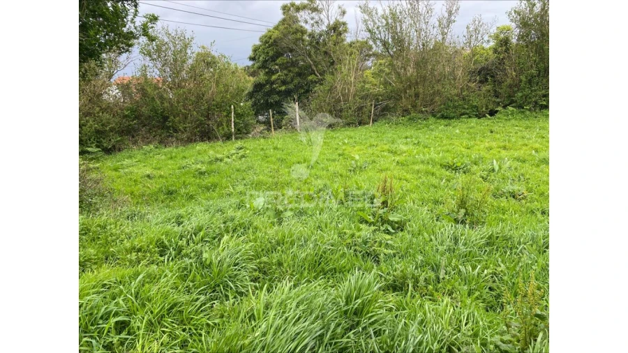Terreno para Venda em Norte Grande (Neves) Foto 4