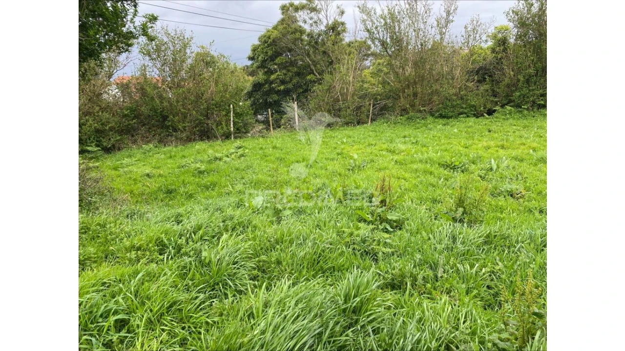 Terreno para Venda em Norte Grande (Neves) Foto 4