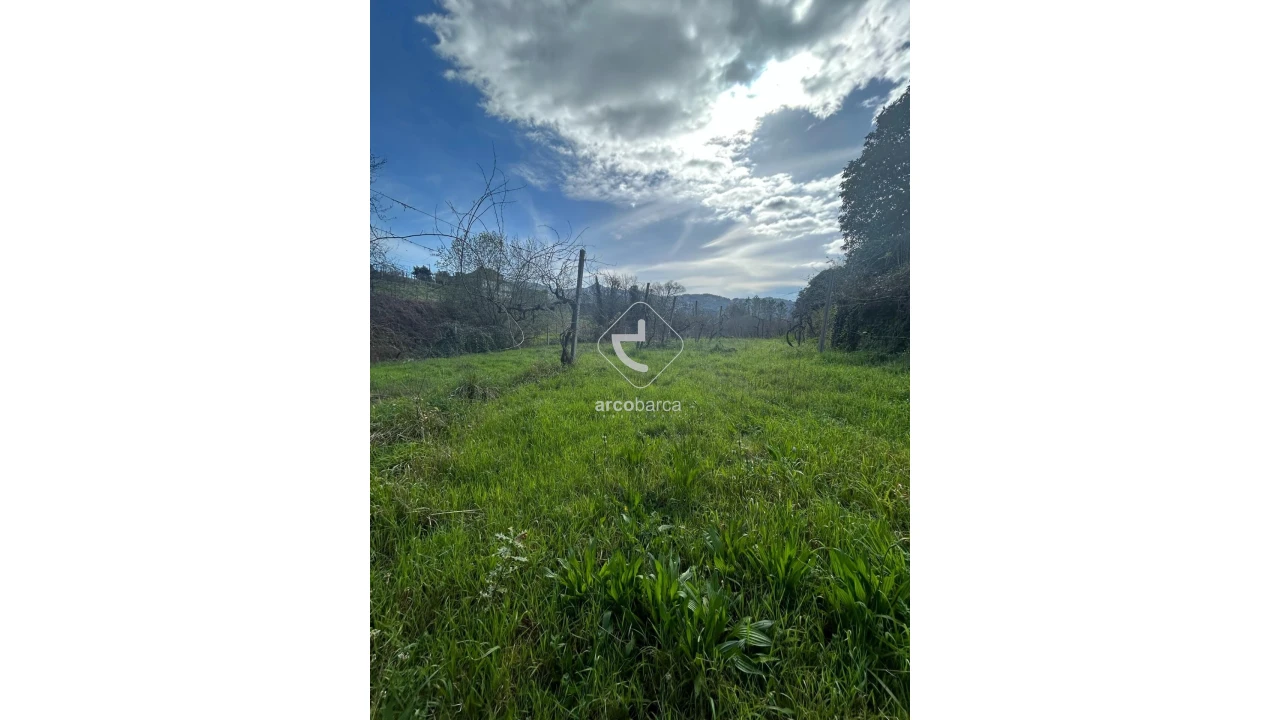 Terreno para Venda em Portela e Extremo Foto 11