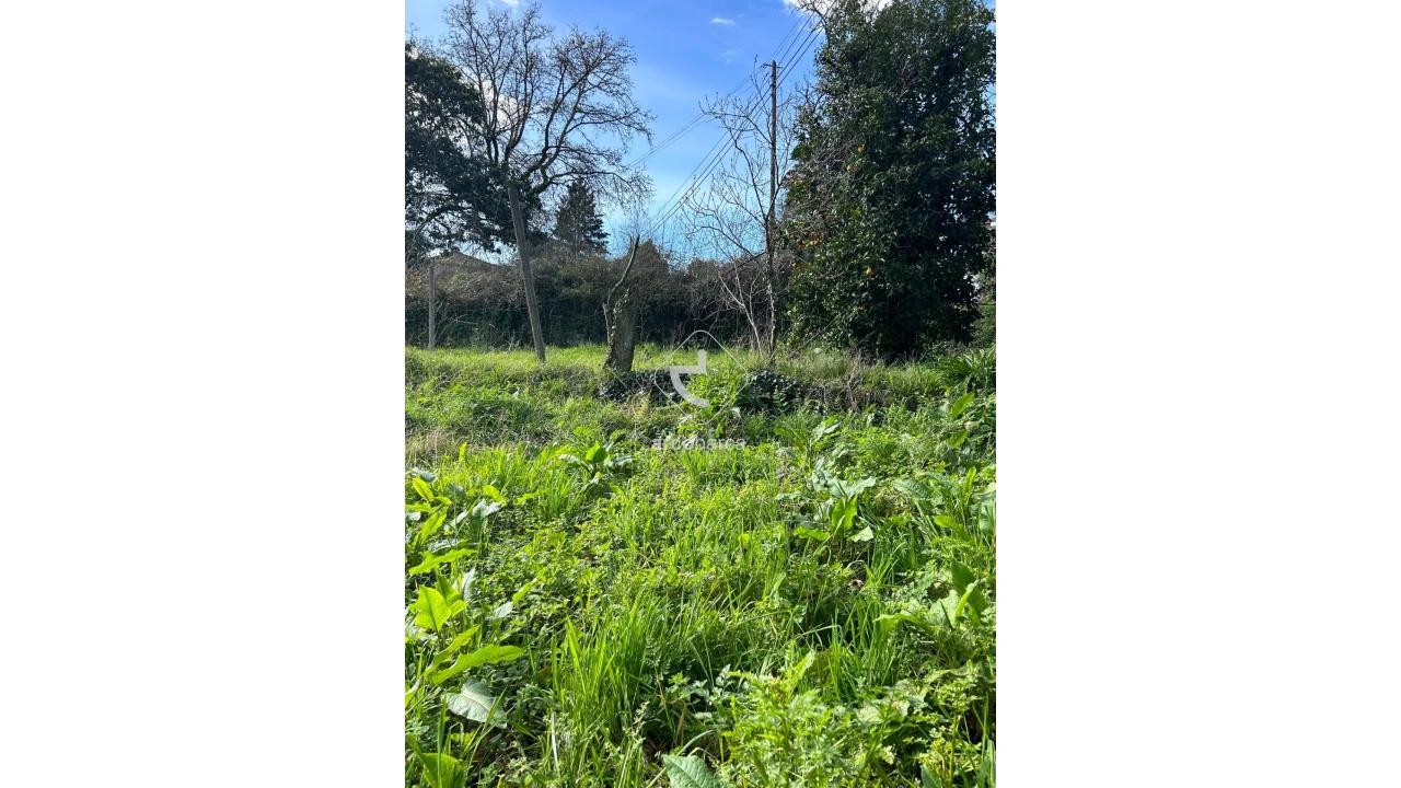 Terreno para Venda em Portela e Extremo Foto 9