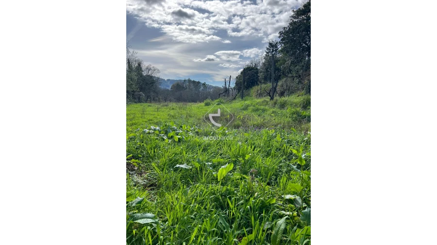 Terreno para Venda em Portela e Extremo Foto 8