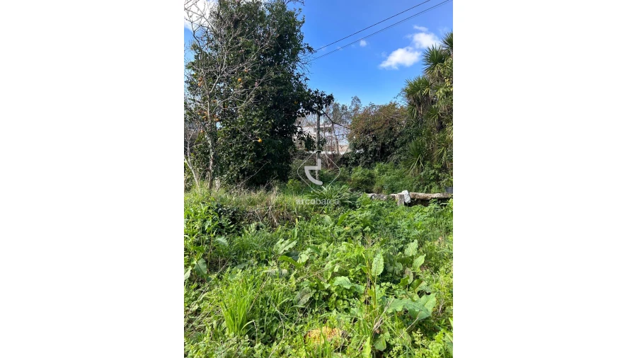 Terreno para Venda em Portela e Extremo Foto 7