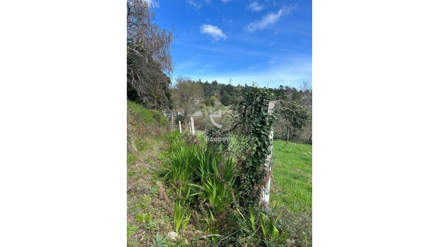 Terreno para Venda em Portela e Extremo Foto 5