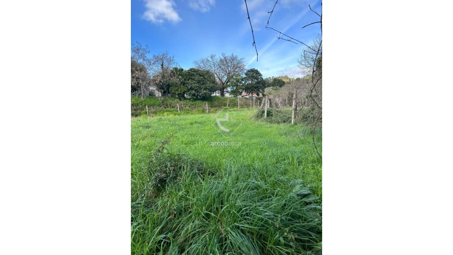 Terreno para Venda em Portela e Extremo Foto 4