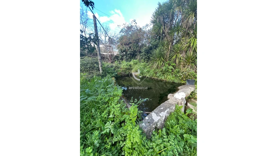 Terreno para Venda em Portela e Extremo Foto 10