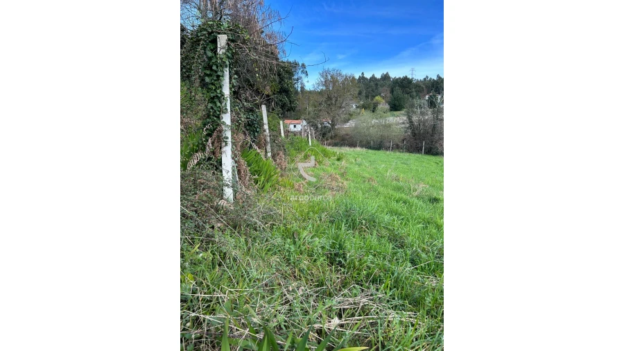 Terreno para Venda em Portela e Extremo Foto 3