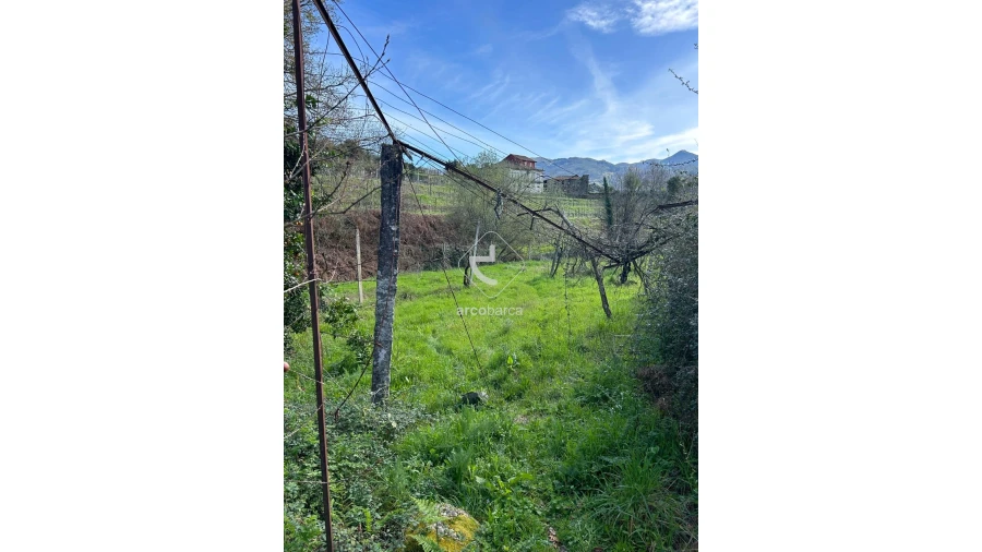 Terreno para Venda em Portela e Extremo Foto 14