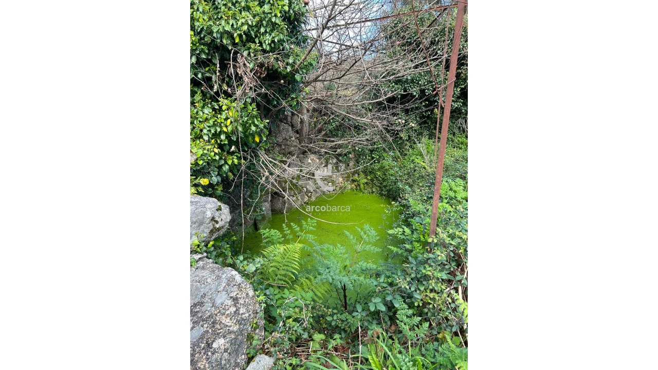 Terreno para Venda em Portela e Extremo Foto 13