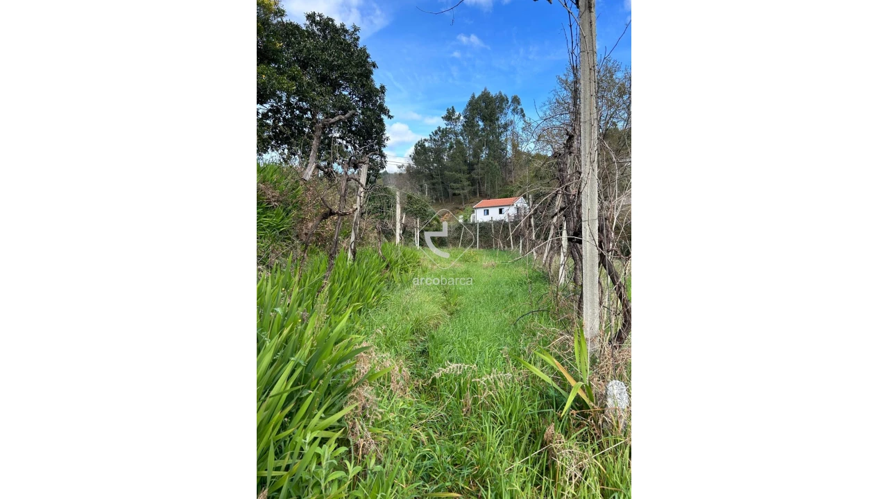 Terreno para Venda em Portela e Extremo Foto 6