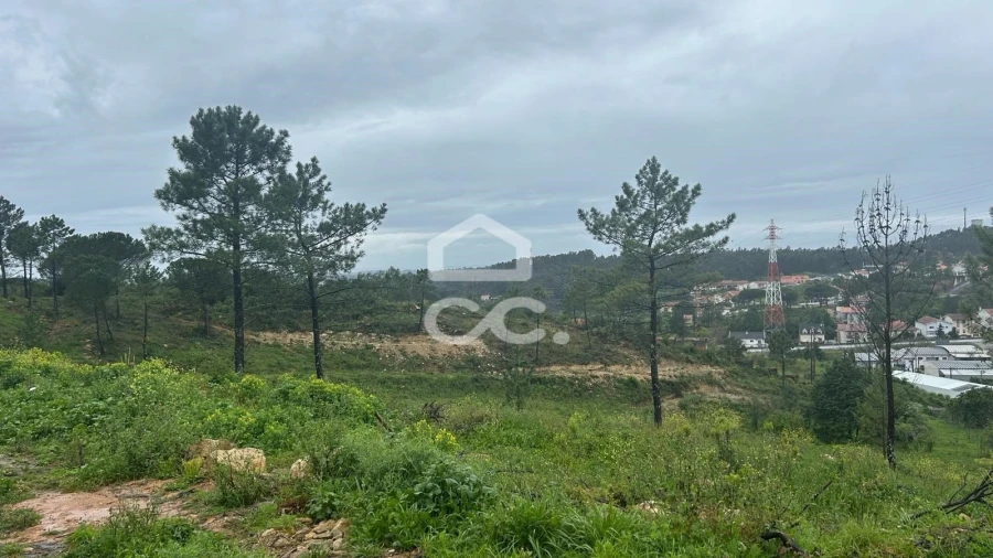 Terreno para Venda em Assafarge e Antanhol Foto 9
