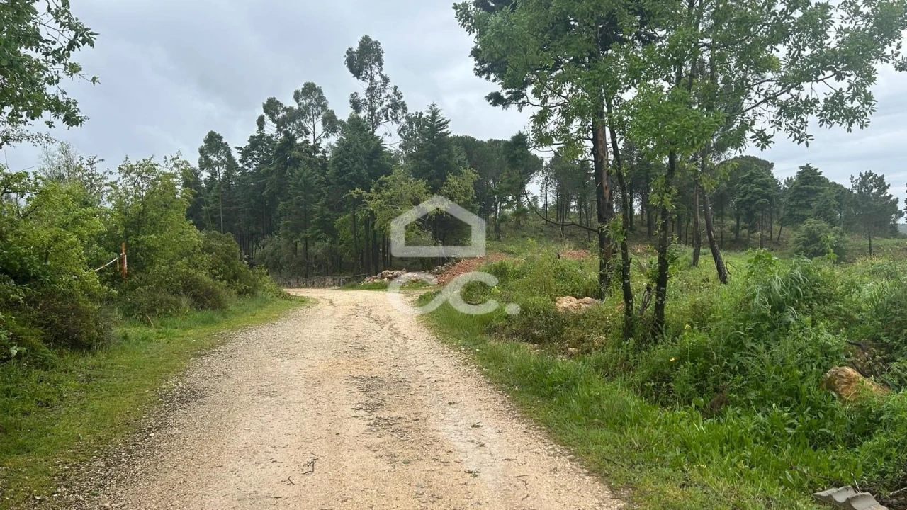 Terreno para Venda em Assafarge e Antanhol Foto 4